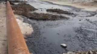 В Мангистау экологи оштрафовали нефтяников