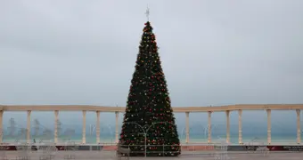 В Актау установили центральную городскую ёлку: названа дата зажжения огней