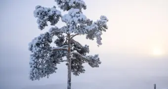 Зафиксирована самая низкая температура на Земле
