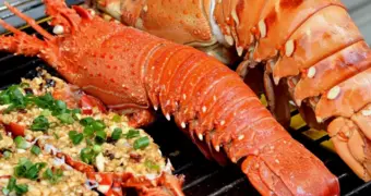 Боль признали официально: живых лобстеров больше нельзя варить