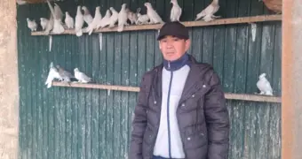 Голубь за 80 тысяч тенге: почему казахстанец отдает такие деньги за крылатых, которые делают сальто в воздухе