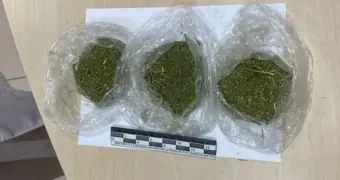 Печальный итог: в Мангистау за год из незаконного оборота изъято более 700 кг наркотиков