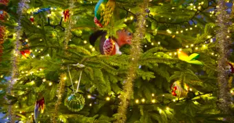 Новогодний блиц-опрос акимов Мангистауской области и Актау