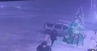 В Бейнеу подросток испортил ёлку – родителям выписали штраф