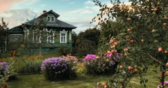 Американец в русской деревне: 7 открытий, которые потрясли его мировоззрение