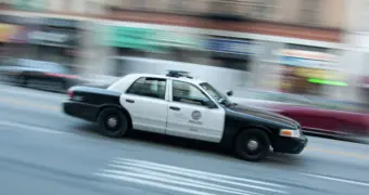 Скелеты в подвале: житель Филадельфии похищал человеческие останки с кладбища