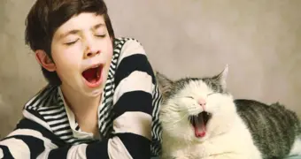 Почему вы не можете устоять: тайна заразной зевоты раскрыта