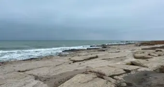 В Казахстане разработана программа по спасению Каспия