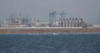 Кто на озере живет? В Актау провели учет птиц на Караколе