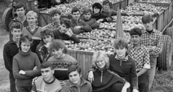 Стройотряды и поездки «на картошку». Как студенты жили в СССР