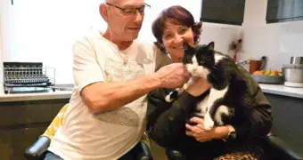 Потерянный в отпуске кот сам прошел 250 км и вернулся домой