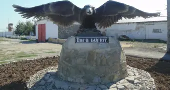 «Чёрный беркут» раскрыл цифру: сколько заключённых из Мангистау отбывают срок пожизненно