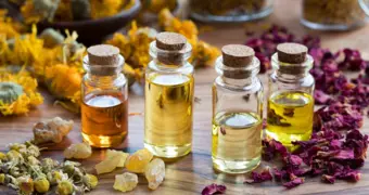 Найдена природная замена антибиотикам