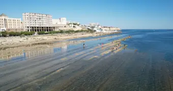 Токаев: волонтёры из разных стран будут участвовать в спасении Каспия и Арала