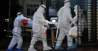 Врач рассказала, что делать, если заподозрил у себя вирус Нипах