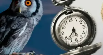 «Сов» предупредили о неочевидной опасности позднего засыпания