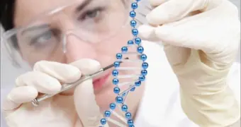 Гены решают больше, чем мы думали: учёные раскрыли тайну долголетия