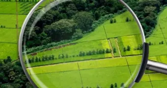 В Казахстане раскрывают земельные махинации с участием фамилии Назарбаева