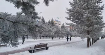 Кто покидает Костанайскую область и зачем: тревожная картина миграции