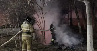 Собачья будка сгорела в Актау: пожарные не исключают факт жестокого обращения с животным