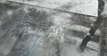 Упавшая ветка дерева убила школьника в Шымкенте