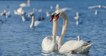Исследование морской воды провели у побережья Актау