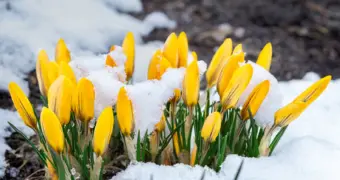 Март в Казахстане обещает сюрпризы: какая погода будет в разных регионах страны