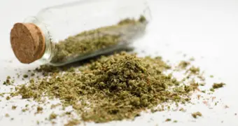 Житель Мангистау оштрафован за хранение марихуаны