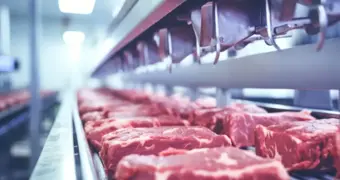 Казахстанская говядина в бегах: мясо вагонами вывозят из страны под видом картофеля