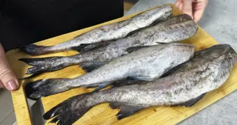 Минтай как «щит» против стресса: почему обычная рыба может спасти нервную систему