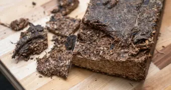 Назван напиток, снижающий накопление жира в организме