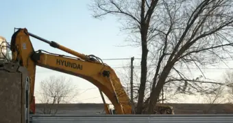 Дерево высотой в несколько этажей уничтожили у вокзала в Мангистау