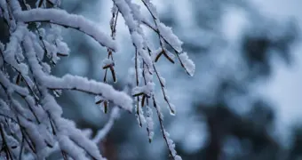 Штормовое предупреждение в Казахстане: прогноз по областям и советы для жителей