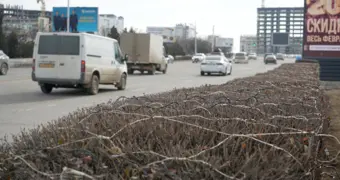 Праздник затянулся: почему иллюминацию не демонтировали в Актау