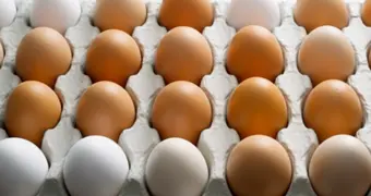 В Казахстане определились с правилами экспорта говядины и импорта яиц