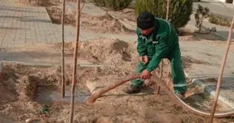 Более миллиарда тенге потратят на озеленение Актау в 2026 году