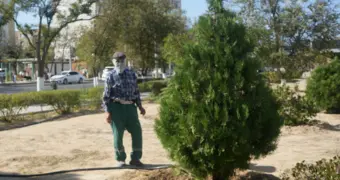 «Опять те же грабли?» Активистка раскритиковала миллиардные расходы на озеленение Актау