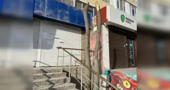 Ночная расправа над зеленью: в Актау за ночь спилили дерево высотой в четыре этажа