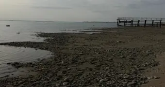 Миссия – спасти море: как новый институт Каспия в Актау изучает обмеление и экологические риски