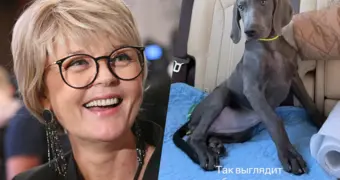 «Теперь начнется совсем другая жизнь»: Юлия Меньшова показала нового члена семьи