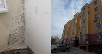 Дом с чёрной плесенью: жильцы новостройки в Актау жалуются на нарушения при строительстве