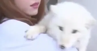 Лиса под прикрытием щенка: покупка за 90 тысяч тенге обернулась сюрпризом