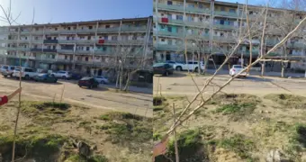 «Это удар по душе»: в Актау варварски уничтожили сад, который житель создавал годами