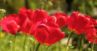 Резкое потепление до +30 °C ожидается в Казахстане
