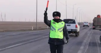 В Казахстане предложили ввести «тест на идиота»