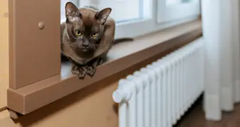 Жители Актау жалуются на горячие батареи и платят за «подогрев атмосферы»