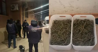 Более трех килограммов марихуаны изъято мангистаускими полицейскими