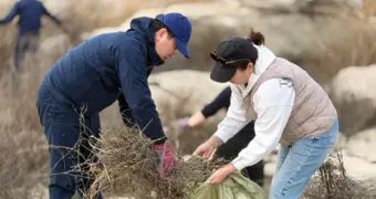 600 тонн мусора собрали во время масштабного субботника в Мангистау