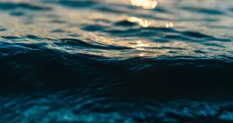 Океаны темнеют на глазах ученых: что скрывает вода под поверхностью