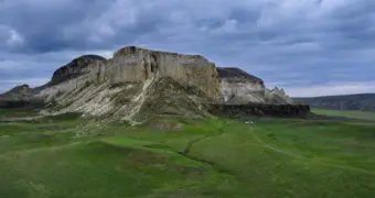 Степь зазеленела: Мангистау преобразился после дождей